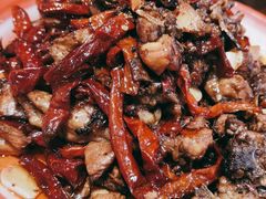 -柴窝堡22号辣子鸡·传承新疆菜