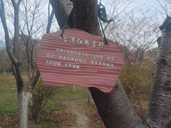 -南溪山景区