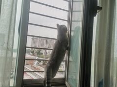 -宠福鑫康馨动物医院·骨科·眼科