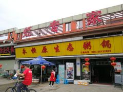 -蚝专家