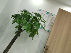 -重庆军美医疗美容医院