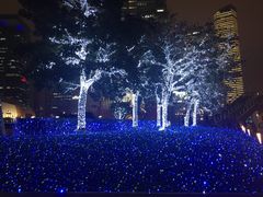-上海柏悦酒店·世纪100牛排馆