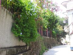 -黄埔古港