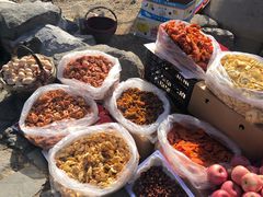 -阳台山自然风景区