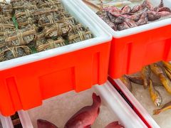 -华威西营里农产品批发市场