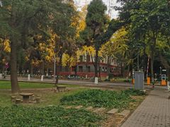 -四川大学(望江校区)