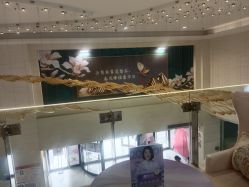 -石家庄苏亚美联臣医疗美容医院