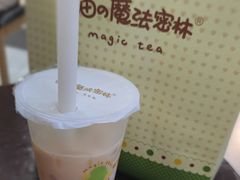 柠檬奶-猫的魔法密林(衣裳街店)