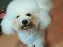 -芭比堂动物医院广州顽皮分院