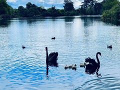 -颐而康·按摩·艾灸·足疗(武陵大道店)