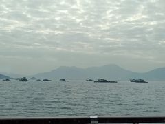 -招商蛇口邮轮母港(观光客运)