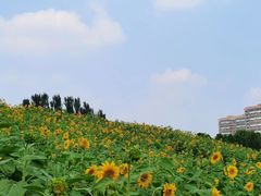 -河南财经政法大学(郑东校区)