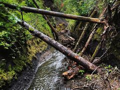 -峡谷浮石林景区