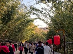 -倒盏民俗文化村