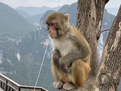 -重庆云阳龙缸景区