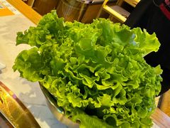 -杨记齐齐哈尔烤肉(总店)