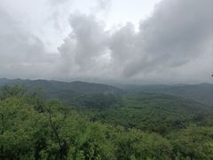 -磬锤峰森林公园