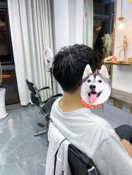 -茶发Salon·烫发染发理发