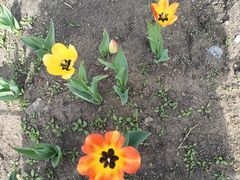 -长春公园(普阳街道)