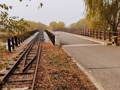 -西青郊野公园