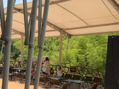 -将军关探险漂流