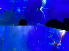 -江和美海洋公园