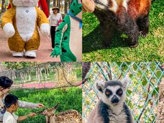 -水上乐园·欢乐世界