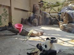 -宁波野生动物园