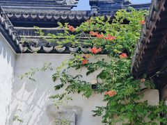 -苏州文庙(姑苏区)