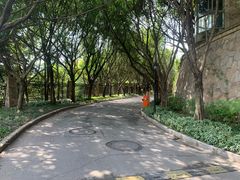 -棕榈泉国际花园1期