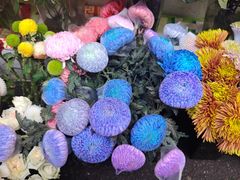 -循礼门鲜花花市(武汉循礼门店)