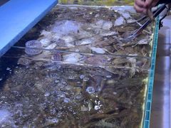 -聚盛源蒸汽海鲜火锅烤肉自助(巨川金海岸购物广场店)