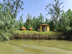 -泗洪洪泽湖湿地景区