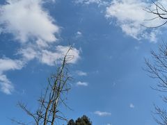 -白鹭湾湿地公园