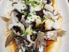 -顺德了能馆(虎门店)