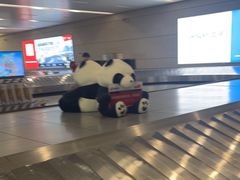-温州龙湾国际机场