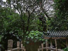 -广州兰圃