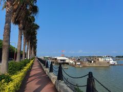 -大湾区中央湿地公园-十九涌
