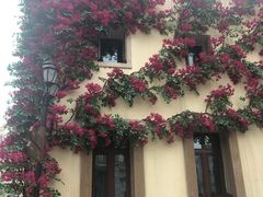 -华谊兄弟（长沙）电影小镇