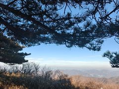 -安吉龙王山风景区