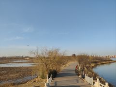 -天津东丽湖风景区