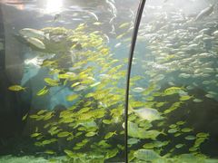-苏州海洋馆