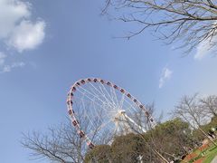 -自然谷恐龙园
