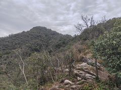 -午潮山国家森林公园