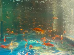 -南通洲际绿博园