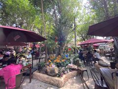 -园林美食城·本土农家菜(杨和镇店)