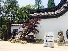 -上海植物园-4号门售票处