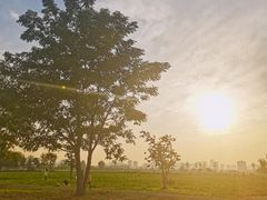 -汉长安城未央宫国家考古遗址公园