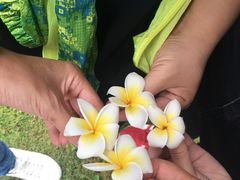 -美的鹭湖森林度假区