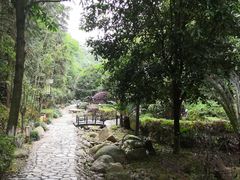 -明月山天沐温泉度假村